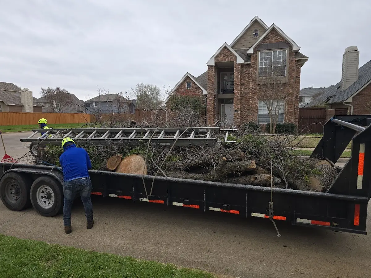 Expert Lot Clearing with proper safety equipment in Spencer